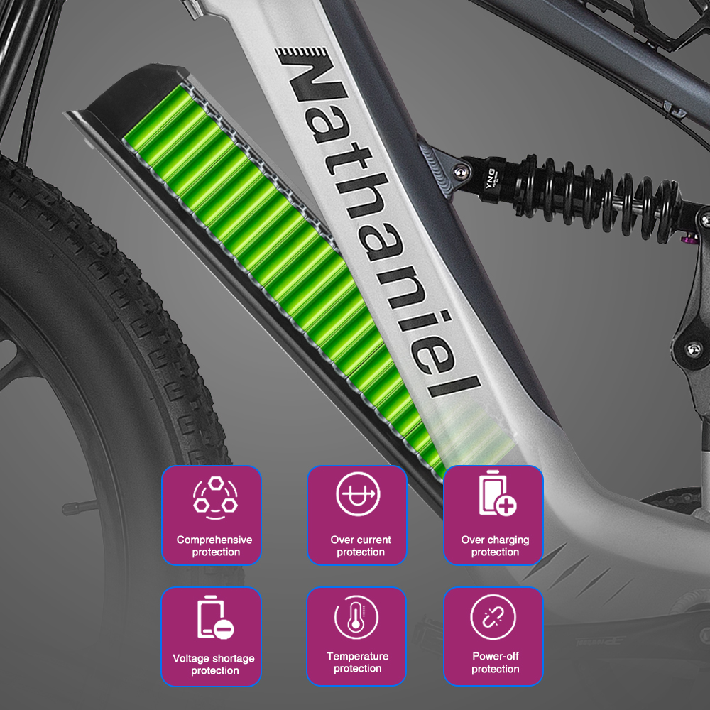 Nathaniel SYR09 Electric Bike  - đánh giá và giá Dual Motor Ebike Kit 2000W