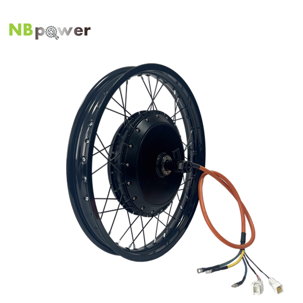 NBpower/170mm Dropout QS 273 4 - đánh giá và giá 72V 8000W Brushless Hub Motor